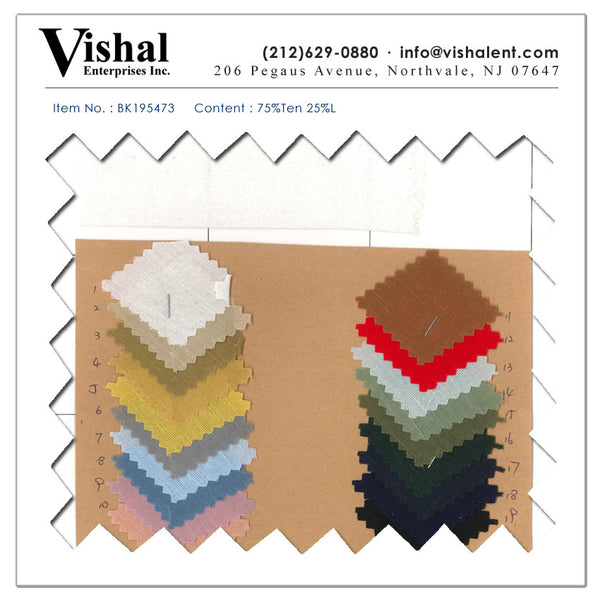 BK195473 - Vishal Enterprises Inc