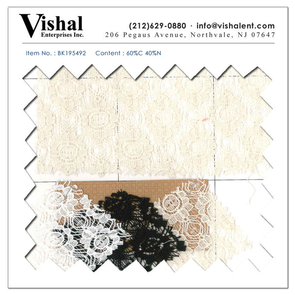 BK195492 - Vishal Enterprises Inc