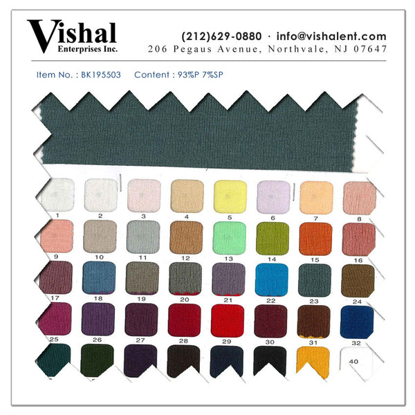 BK195503 - Vishal Enterprises Inc