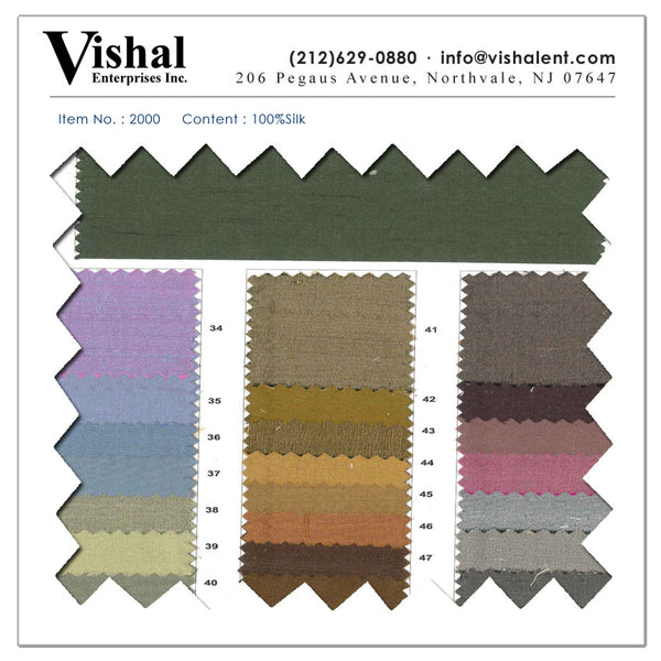 2000 - Vishal Enterprises Inc
