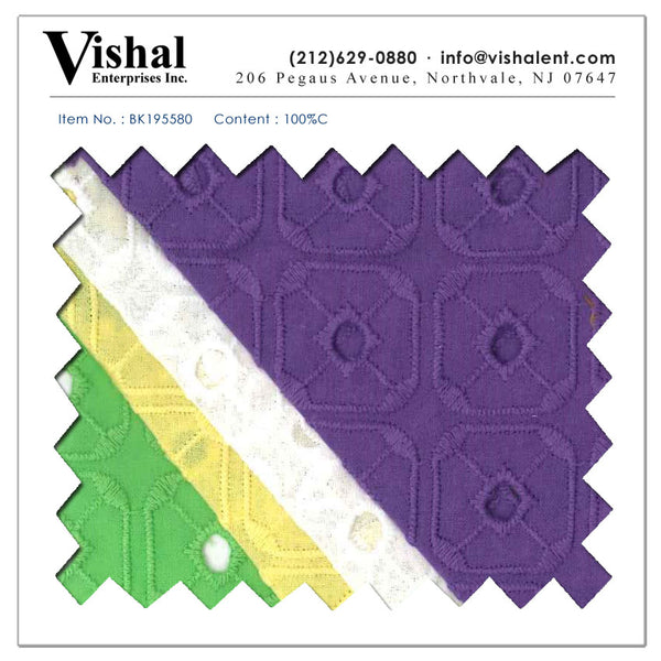 BK195580 - Vishal Enterprises Inc