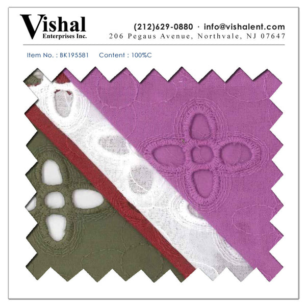 BK195581 - Vishal Enterprises Inc