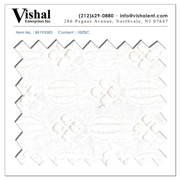 BK195583 - Vishal Enterprises Inc