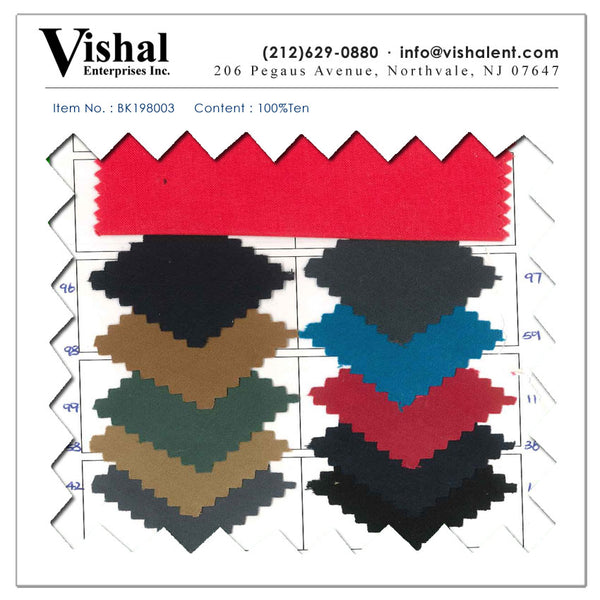 BK198003 - Vishal Enterprises Inc